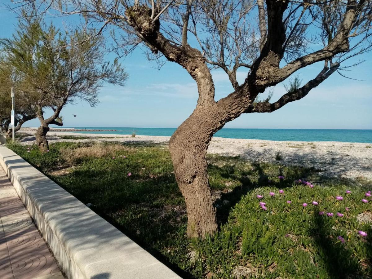 Paradise Moncofa Con Aire Acondicionado Y Wifi Gratis Lägenhet Exteriör bild